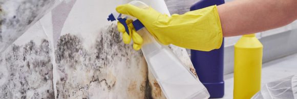 What to Do About Mould and Mildew When Cleaning for Move-Out